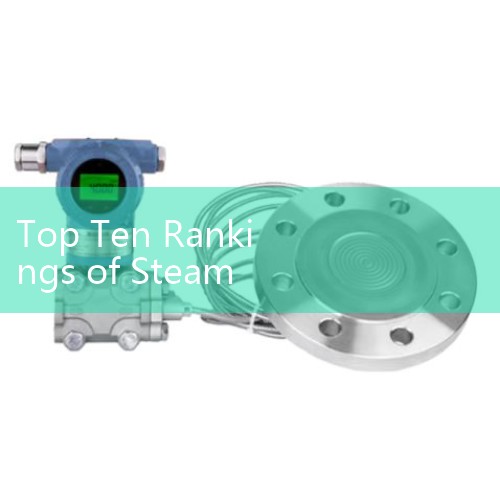 What are the manufacturers of steam flow meters? | Top 10 brands of steam flow meters | Top 10 brands of steam flow meters|